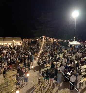Festival Toulon sur Art'