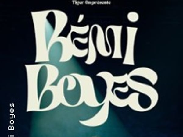 Rémi Boyes, Bombus Terrestris V2