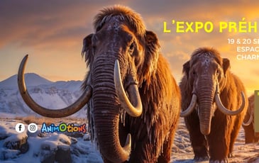 Salon des Minéraux — Exposition Préhistoric (2ᵉ édition)