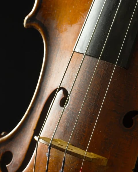 Violons de Prague