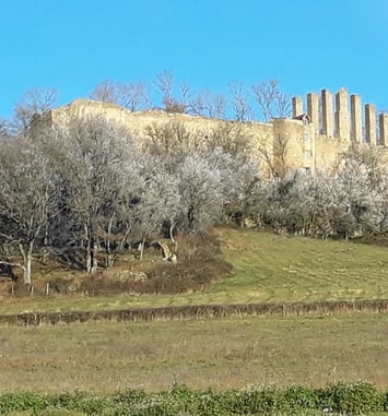 Visite guidée château de Lourdon
