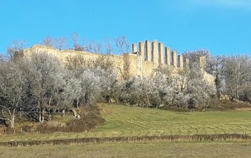 Visite guidée château de Lourdon