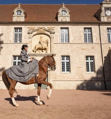 Visites Guidées et Animations aux Ecuries de Chaumont