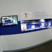 Visite libre du musée de la Préhistoire
