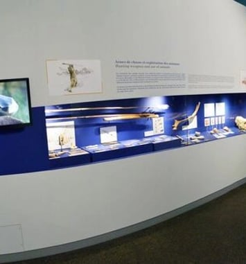 Visite libre du musée de la Préhistoire