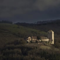 La Forêt à Château