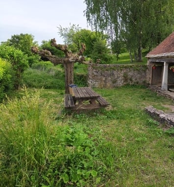 Visite commentée « Azé et la Mouge »
