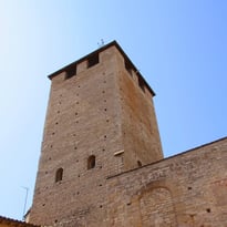 Visite de la tour des Fromages avec vue panoramique sur la cité-abbaye de Cluny