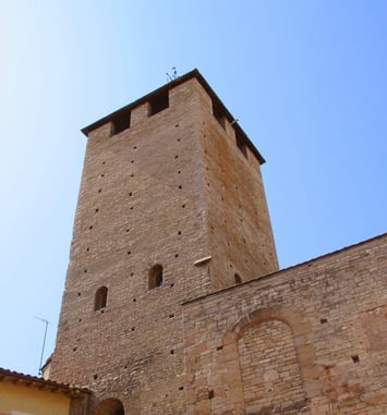 Visite de la tour des Fromages avec vue panoramique sur la cité-abbaye de Cluny