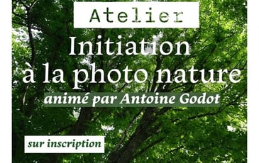 Atelier d'initiation à la photo