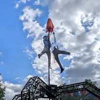 Dans l'ombre des oiseaux