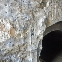Visite guidée « Le Médasson de Cluny, le bien-nommé »