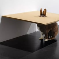 MDR : humour et dérision dans la collection du Frac Franche-Comté