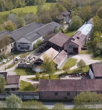 Visite guidée : « Renaître de ses cendres »