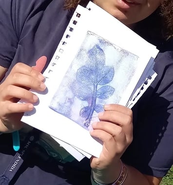 Visite guidée du jardin lapidaire et  de l'installation de gelly print, travail artistique et culturel mené avec les centres sociaux
