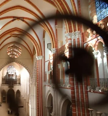 Visite libre de la cathédrale Saint-Vincent de Chalon-sur-Saône