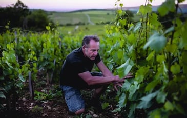 Visite du domaine du Clos des Vignes du Maynes