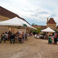 Visites guidées du Château Pontus de Tyard