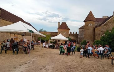 Visites guidées du Château Pontus de Tyard