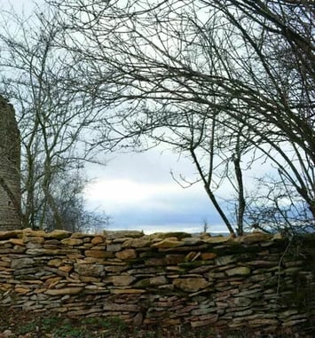 Visite libre du moulin à vent Billebaud de Saint-Clément-sur-Guye