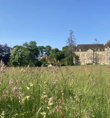 Visite du parc et du château du Breuil