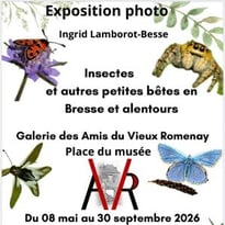 Exposition photos "Insectes en Bresse"
