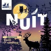 Exposition nuit