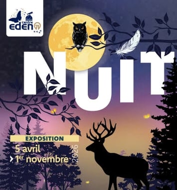 Exposition nuit