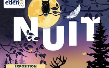 Exposition nuit