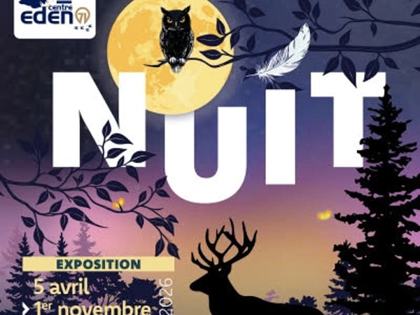 Exposition nuit