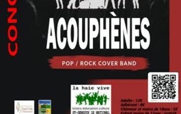 Acouphènes