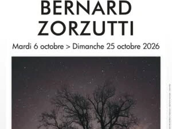 Exposition Bernard Zorzutti