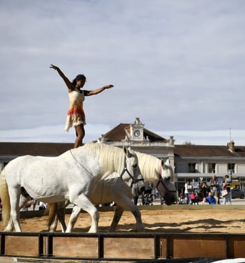 Frontières, spectacle équestre et pictural