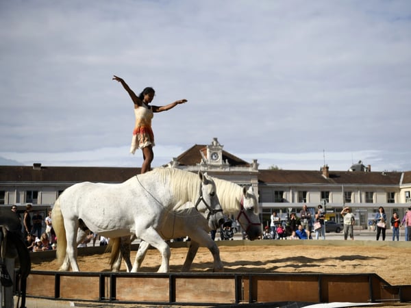Frontières, spectacle équestre et pictural