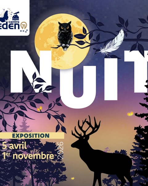 Exposition temporaire "Nuit"