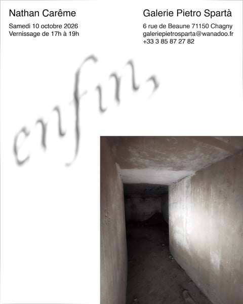 Exposition "Enfin," Nathan Carême