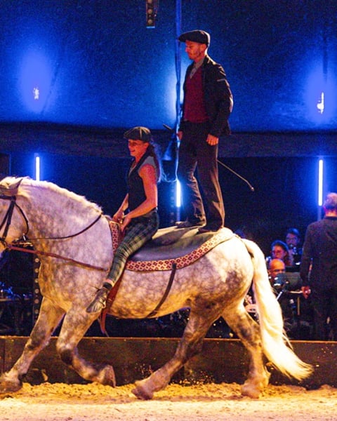 Spectacle de l'Automne - Chevaux & Orchestre