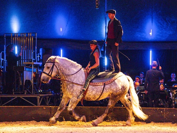Spectacle de l'Automne - Chevaux & Orchestre