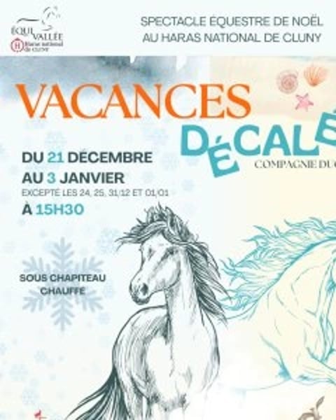 Spectacle Équestre de Noël