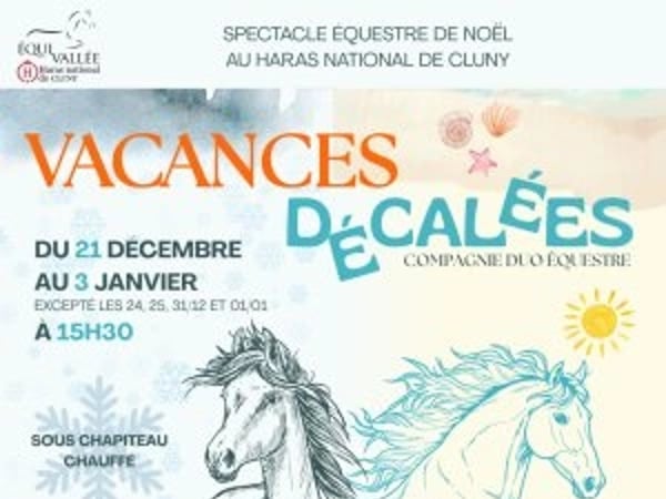 Spectacle Équestre de Noël