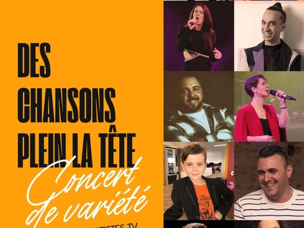 Des chansons plein la tête