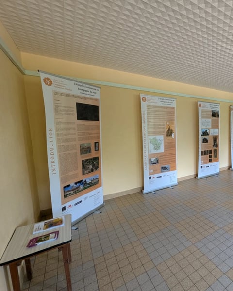 L'épopée clunisienne en Bourgogne du sud