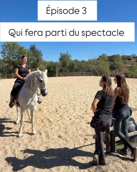 Soirée spectacle équestre & raclette
