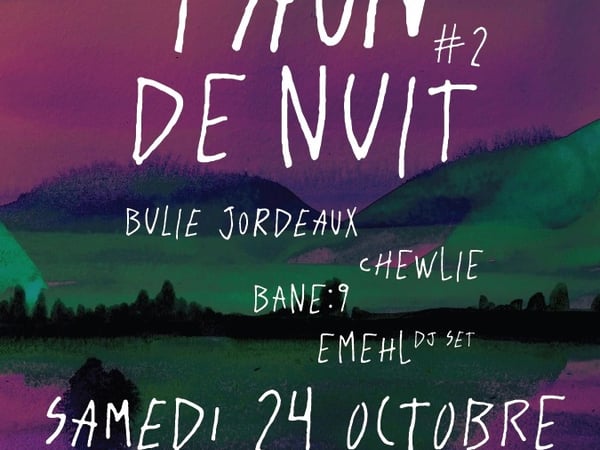 Paon de Nuit #2