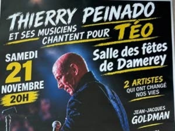 Thierry Peinado chante J.J. Goldman et D. Balavoine